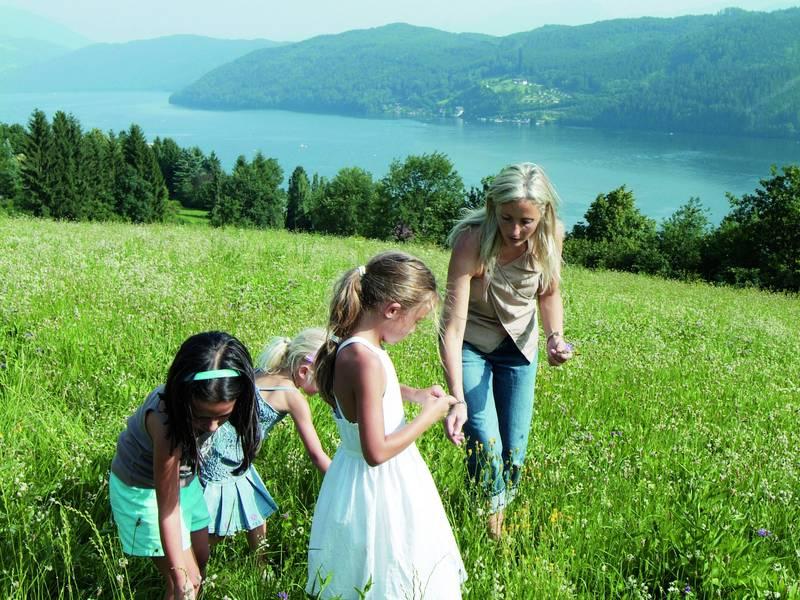 All InklusivUrlaub am Millstätter See Reiseteam Erzgebirge